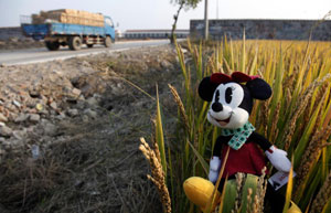 Foreign trade in Guangdong province up 30%