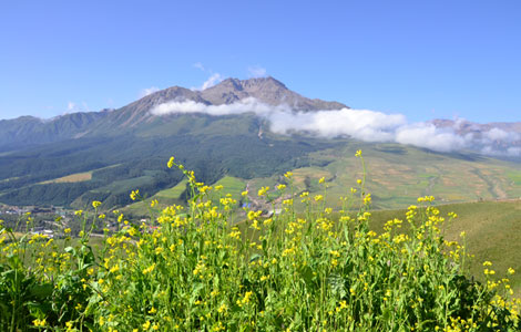 A glance at Qilian Mountain