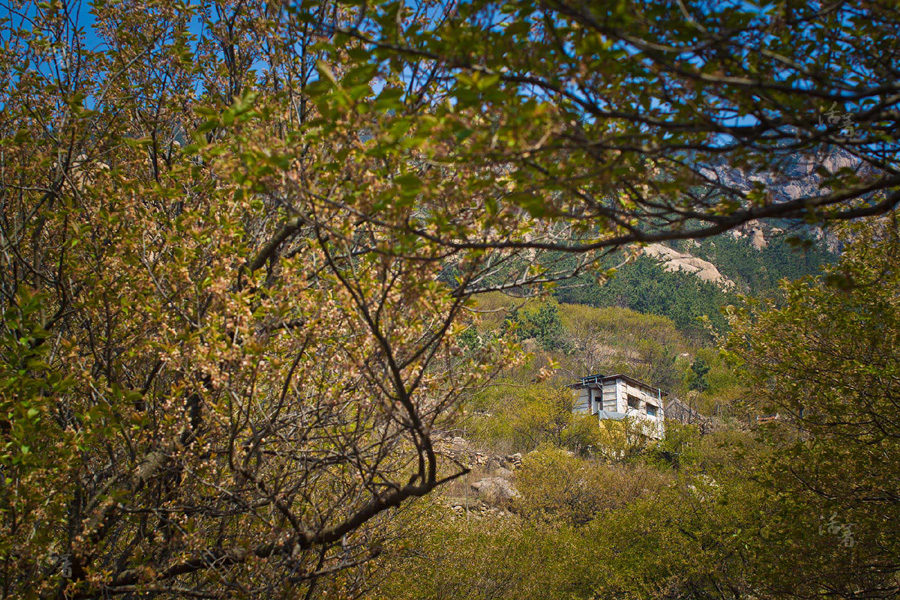 Couple leave the city for 'Self-sufficiency Lab' in mountains