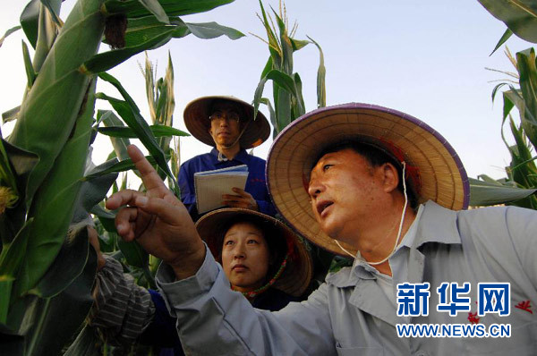 李登海：農民科學家的報國夢