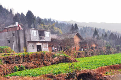 回茶坪村(新春走基層)
