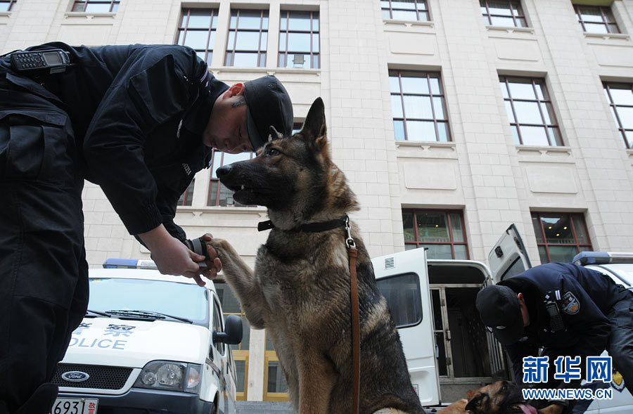 警犬“助陣”兩會(huì)安保工作：大會(huì)堂內(nèi)細(xì)致檢查