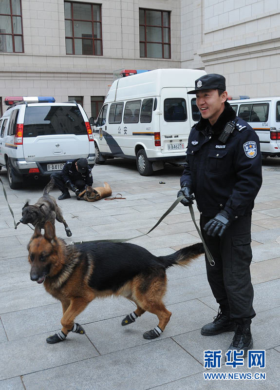 警犬“助陣”兩會安保工作：大會堂內(nèi)細致檢查