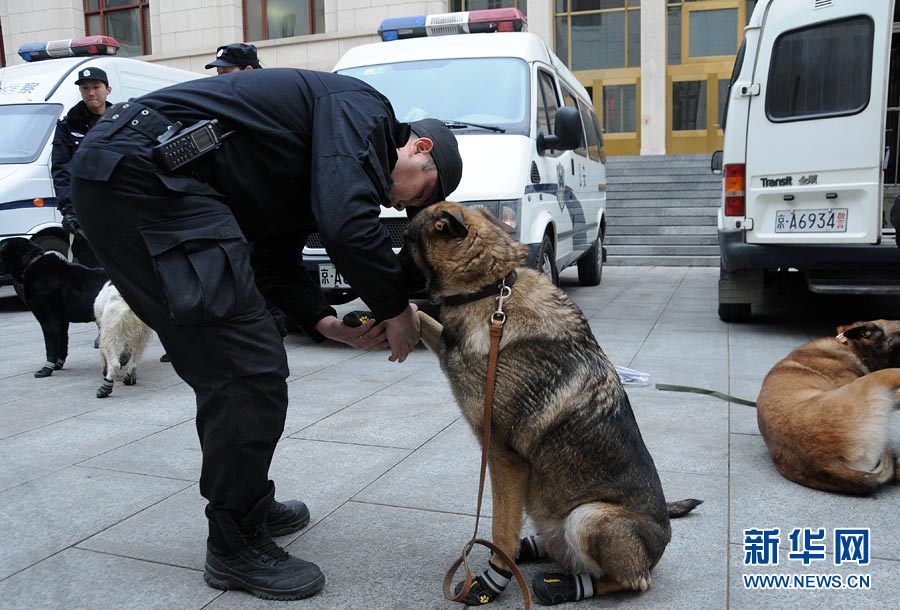 警犬“助陣”兩會安保工作：大會堂內細致檢查