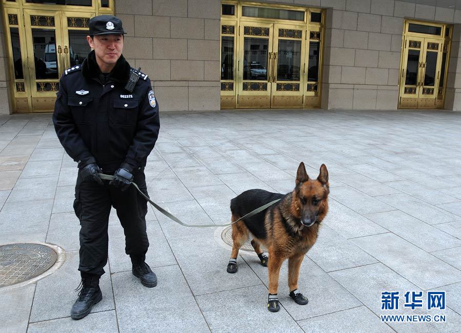 警犬“助陣”兩會安保工作：大會堂內細致檢查