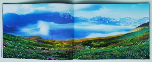 中國攝影金像獎獲得者4幅作品被指造假