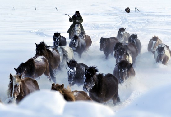 新疆發(fā)生雪災5000余人轉移1人死亡(組圖)