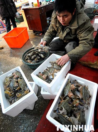 天津積極組織海鮮貨源填補市場空缺