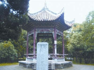 湖北荊門(mén)240畝烈士公園變身網(wǎng)球公園(圖)