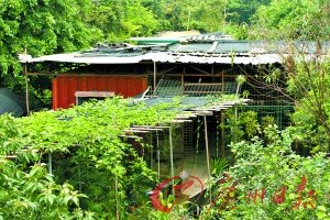 深圳房價逼近2萬 低價集裝箱房悄然興起
