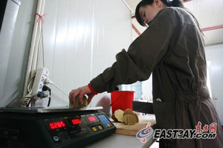 來滬3個月世博熊貓均增肥 30萬游客目睹國寶風(fēng)采