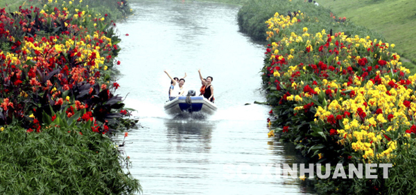 成都雙流：水上花床迷人眼