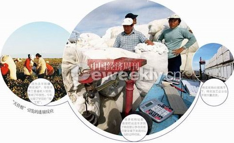 新疆棉價上漲引發瘋狂倒賣戰 棉農私賣不成囤貨