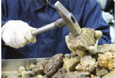 長沙暫未發現假蜂膠 記者探秘制作全過程