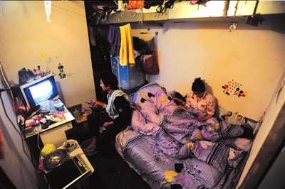 北京“鼠族”介意稱呼 稱路渺茫沒夢(mèng)想才可怕
