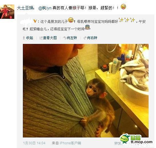 能買猴子當寵物 人類已經無法阻止網購了