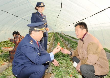 濮陽工商幫扶種植戶 大力發展草莓種植