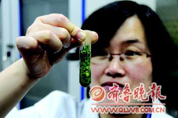 青島建成肉菜追溯體系 和濟南濰坊數據共享