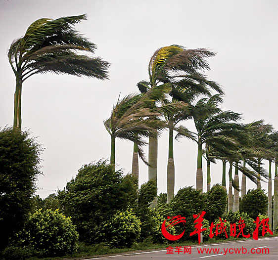 臺(tái)風(fēng)
