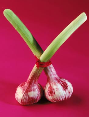養(yǎng)生：大蒜抗癌蘋果改善心血管 8大長壽食物（圖）
