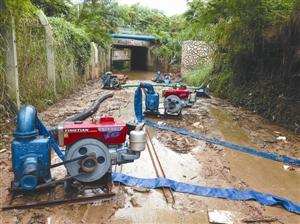 還原深圳女司機(jī)涵洞溺亡過程 專家:本該有逃生機(jī)會