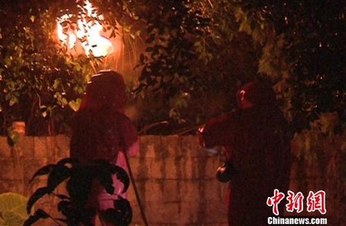 廣西一中學師生軍訓返校遭馬蜂襲擊 57人被蜇傷
