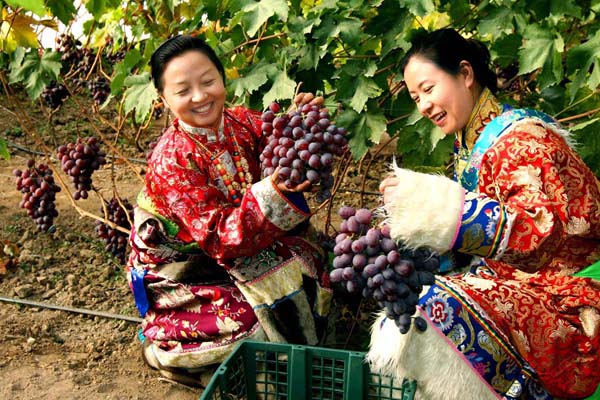 甘肅扶貧揚(yáng)帆起航助農(nóng)致富，放飛農(nóng)民小康夢(mèng)想