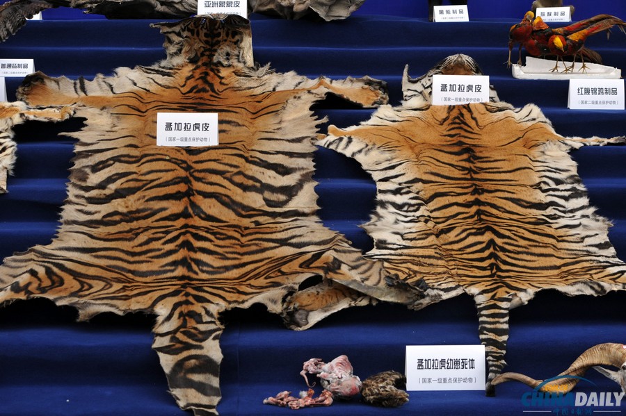 云南警方偵破一起特大走私販賣野生動物制品案