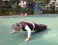 武漢一社區舉辦“萬家宴”場面壯觀
