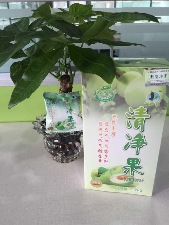 圣品緣清凈果，為何成為上班族的伴侶？