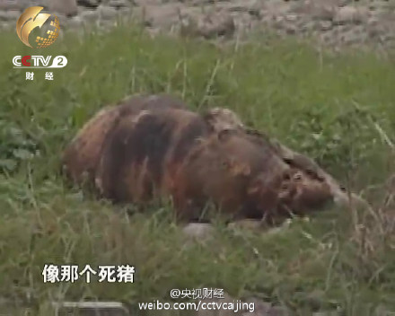 統(tǒng)計(jì)稱中國每年10億噸垃圾圍城 全世界數(shù)一數(shù)二