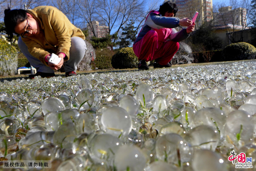 北京石景山一公園現罕見“冰世界”景觀