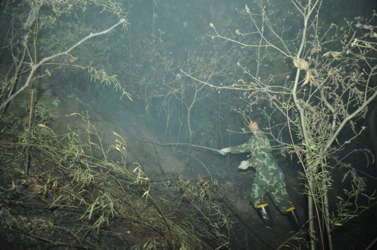 重慶主城區發生大面積山火(組圖)