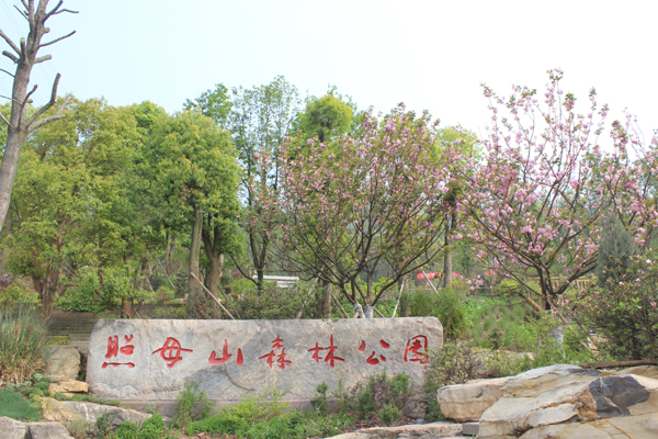 重慶主城最大城市森林公園14日開(kāi)園
