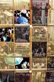 昨入園55.2萬再創(chuàng)新高 已無冷門場館
