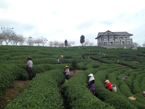 漳平臺灣農(nóng)民創(chuàng)業(yè)園：臺緣山莊旅游綜合體啟動