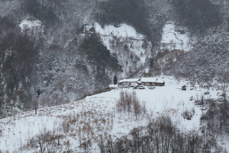 神農架降十年最大春雪
