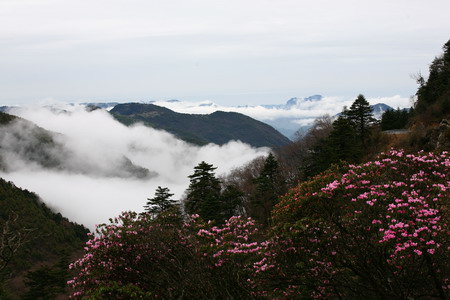 神農架大九湖景區(qū)重新開放