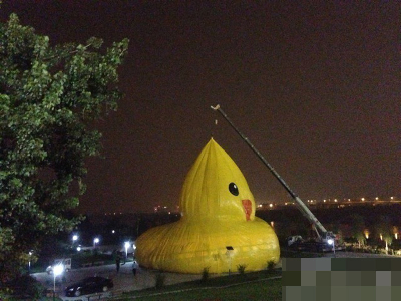 大黃鴨即將北京下水 圖片回顧其游歷之路