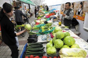 調(diào)查:市價比田間貴10倍 卷心菜是這樣貴起來的