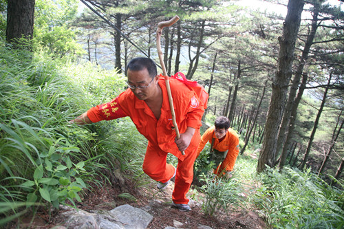 泰山電力人大山上踏出了“第五條登山路”