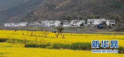 盤點一周“網絡熱詞” 故宮大盜上榜