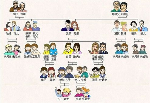 中國親戚關系圖受網友追捧 被贊“回家過年必備”
