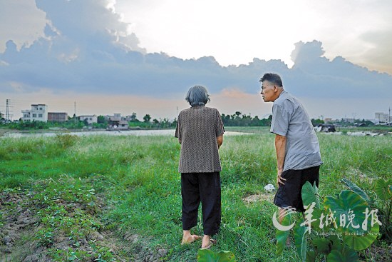 94歲麥奶奶和她的兩個智障兒 70年艱辛撫養(yǎng)