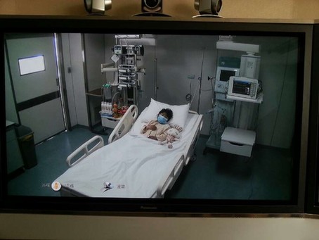 全國確診人感染H7N9禽流感病例增至46例