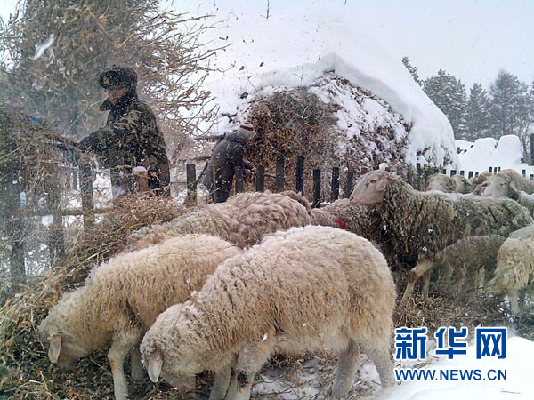 黑龍江漠河遭遇罕見(jiàn)暴雪 24小時(shí)內(nèi)降雪量達(dá)20毫米