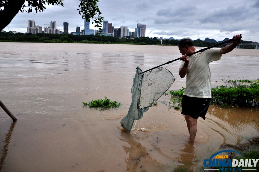 柳江柳州段出現超警戒水位 水位仍在上漲