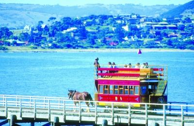 國人四大旅游陋習：“噪音”無處不在 愛順手牽羊