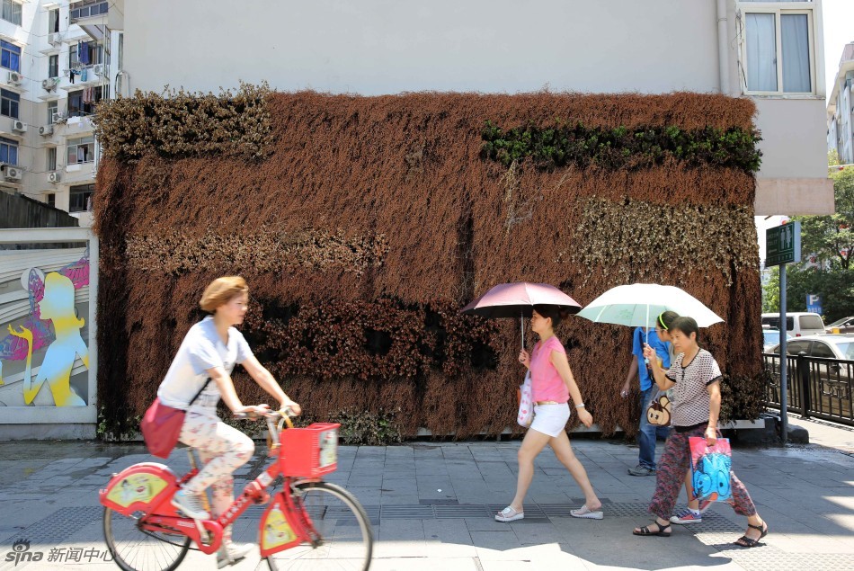 40.4℃高溫破紀(jì)錄 杭州市民全副武裝眾生相