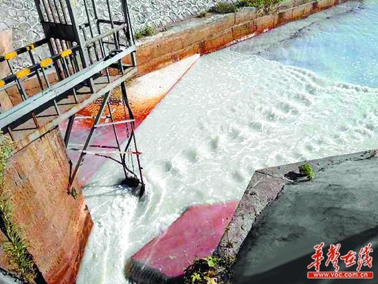 湖南株洲新霞灣港現“牛奶河” 疑因大型化企排污